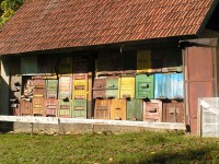 /album/penzion/p31-jpg/
