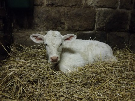 Máme nové přírůstky.